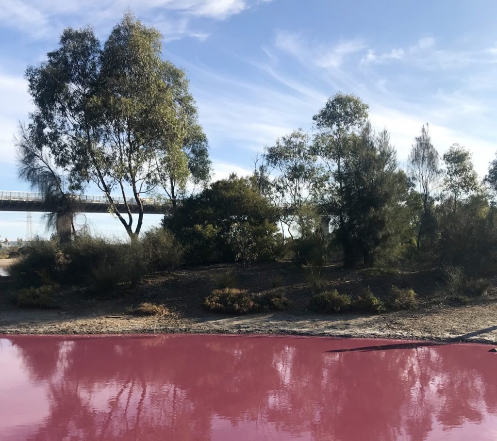 melbourne sehenswürdigkeiten pink lake