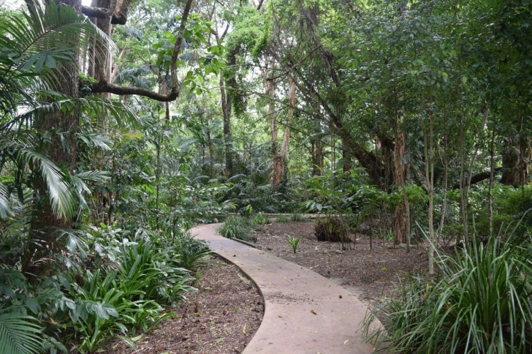 7 unglaubliche Orte in Far North Queensland