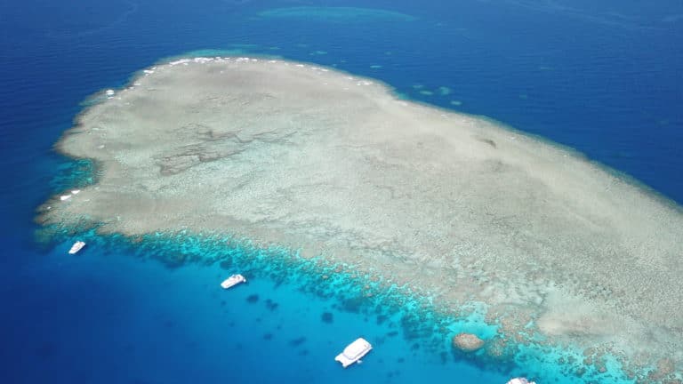 Great Barrier Reef – Alle Infos auf einen Blick