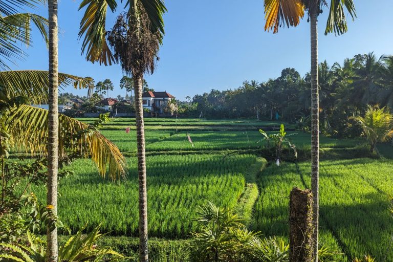 Bali Guide: Das solltest du nicht verpassen und Tipps für günstige Reisen