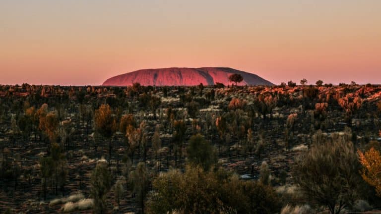 Besuche Ayers Rock (Uluru) – Der heilige Felsen Australiens